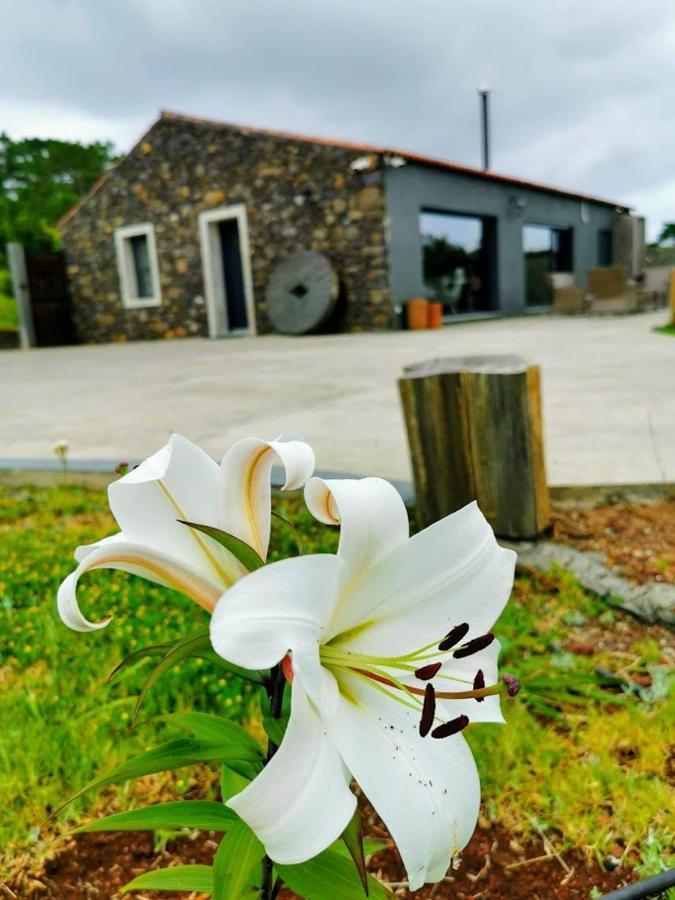 Quinta De Sao Jose Villa Sao Pedro  Buitenkant foto