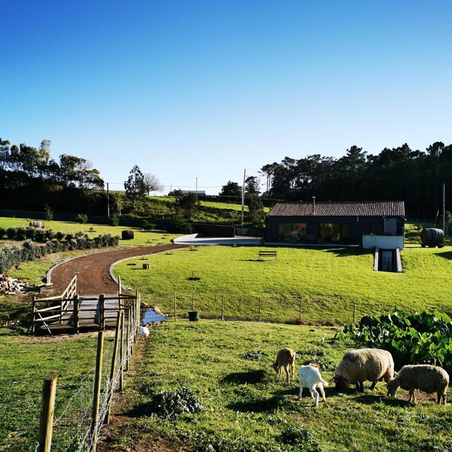 Quinta De Sao Jose Villa Sao Pedro  Buitenkant foto