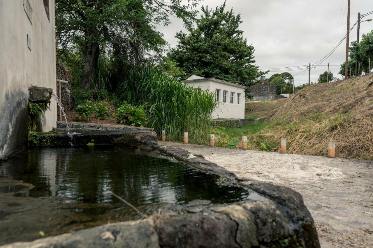 Quinta De Sao Jose Villa Sao Pedro  Buitenkant foto